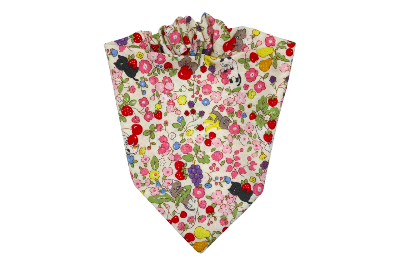 Ichigo Cat Bandana
