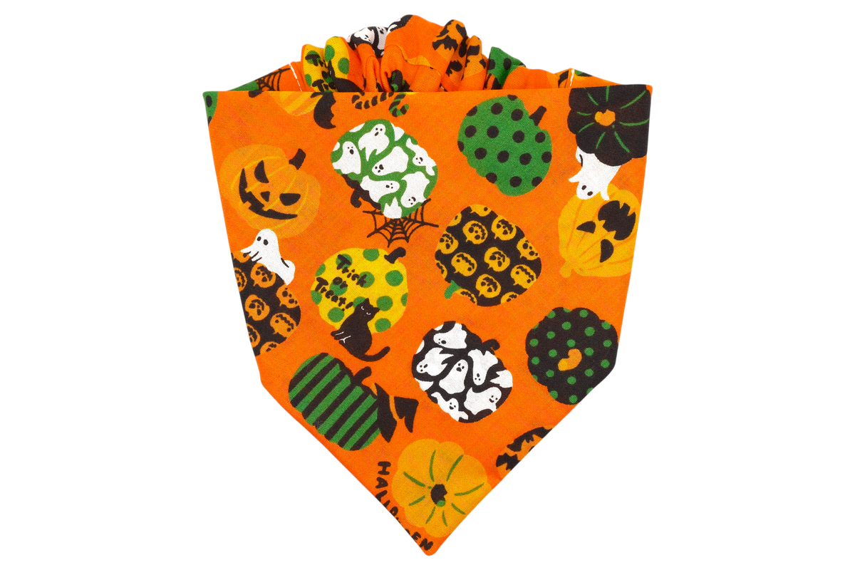 [Available 9/28] Bocha Dog Bandana - Orange