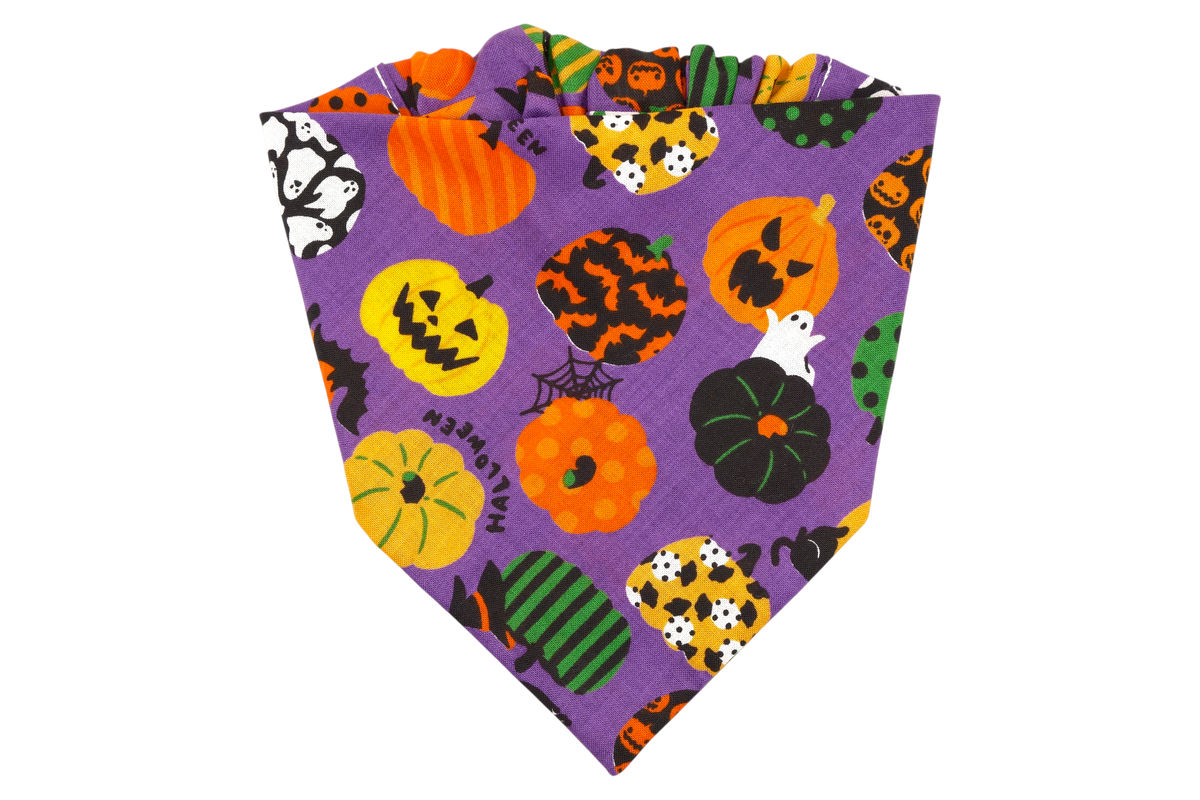 [Available 9/28] Bocha Cat Bandana - Purple