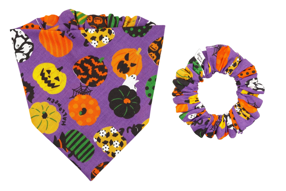 Bocha Cat Bandana - Purple