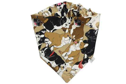 French Bulldog Bandana